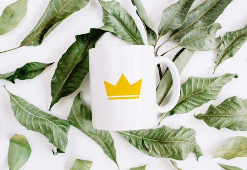 mug-printed-with-prince-william-pottery-logo
